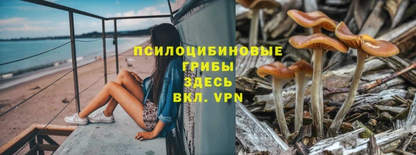 винт Богданович