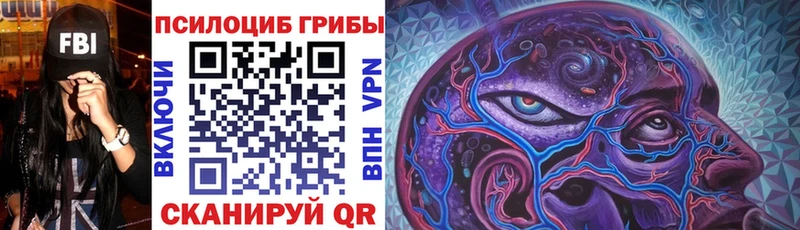 Галлюциногенные грибы ЛСД  Чегем 